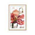 Picture of Red Poppies II _GroupedProduct_Rectangle_Portrait_Framed_Matted_