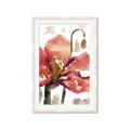 Picture of Red Poppies II _GroupedProduct_Rectangle_Portrait_Framed_Matted_