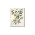 Picture of Hanging Leaves _GroupedProduct_Rectangle_Portrait_Framed_Matted_