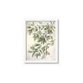 Picture of Hanging Leaves _GroupedProduct_Rectangle_Portrait_Framed_Matted_