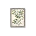 Picture of Hanging Leaves _GroupedProduct_Rectangle_Portrait_Framed_Matted_