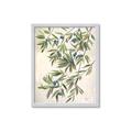 Picture of Hanging Leaves _GroupedProduct_Rectangle_Portrait_Framed_Matted_