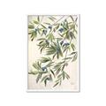 Picture of Hanging Leaves _GroupedProduct_Rectangle_Portrait_Framed_Matted_
