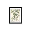 Picture of Hanging Leaves _GroupedProduct_Rectangle_Portrait_Framed_Matted_