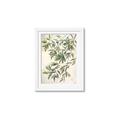 Picture of Hanging Leaves _GroupedProduct_Rectangle_Portrait_Framed_Matted_