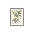 Picture of Hanging Leaves _GroupedProduct_Rectangle_Portrait_Framed_Matted_