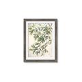 Picture of Hanging Leaves _GroupedProduct_Rectangle_Portrait_Framed_Matted_