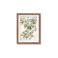 Picture of Hanging Leaves _GroupedProduct_Rectangle_Portrait_Framed_Matted_