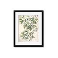 Picture of Hanging Leaves _GroupedProduct_Rectangle_Portrait_Framed_Matted_