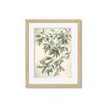Picture of Hanging Leaves _GroupedProduct_Rectangle_Portrait_Framed_Matted_