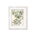 Picture of Hanging Leaves _GroupedProduct_Rectangle_Portrait_Framed_Matted_