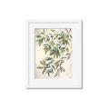Picture of Hanging Leaves _GroupedProduct_Rectangle_Portrait_Framed_Matted_