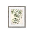 Picture of Hanging Leaves _GroupedProduct_Rectangle_Portrait_Framed_Matted_