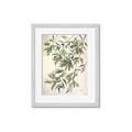 Picture of Hanging Leaves _GroupedProduct_Rectangle_Portrait_Framed_Matted_