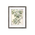 Picture of Hanging Leaves _GroupedProduct_Rectangle_Portrait_Framed_Matted_