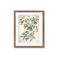 Picture of Hanging Leaves _GroupedProduct_Rectangle_Portrait_Framed_Matted_