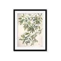 Picture of Hanging Leaves _GroupedProduct_Rectangle_Portrait_Framed_Matted_