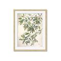 Picture of Hanging Leaves _GroupedProduct_Rectangle_Portrait_Framed_Matted_