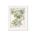 Picture of Hanging Leaves _GroupedProduct_Rectangle_Portrait_Framed_Matted_