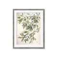 Picture of Hanging Leaves _GroupedProduct_Rectangle_Portrait_Framed_Matted_