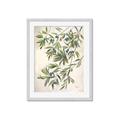 Picture of Hanging Leaves _GroupedProduct_Rectangle_Portrait_Framed_Matted_