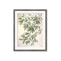 Picture of Hanging Leaves _GroupedProduct_Rectangle_Portrait_Framed_Matted_