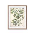 Picture of Hanging Leaves _GroupedProduct_Rectangle_Portrait_Framed_Matted_