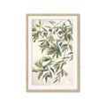 Picture of Hanging Leaves _GroupedProduct_Rectangle_Portrait_Framed_Matted_