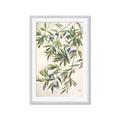 Picture of Hanging Leaves _GroupedProduct_Rectangle_Portrait_Framed_Matted_