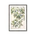 Picture of Hanging Leaves _GroupedProduct_Rectangle_Portrait_Framed_Matted_