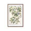 Picture of Hanging Leaves _GroupedProduct_Rectangle_Portrait_Framed_Matted_