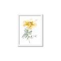 Picture of Yellow Floral I  _GroupedProduct_Rectangle_Portrait_Framed_Matted_