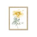 Picture of Yellow Floral I  _GroupedProduct_Rectangle_Portrait_Framed_Matted_