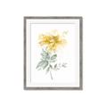 Picture of Yellow Floral I  _GroupedProduct_Rectangle_Portrait_Framed_Matted_
