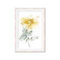 Picture of Yellow Floral I  _GroupedProduct_Rectangle_Portrait_Framed_Matted_