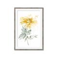 Picture of Yellow Floral I  _GroupedProduct_Rectangle_Portrait_Framed_Matted_