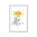 Picture of Yellow Floral I  _GroupedProduct_Rectangle_Portrait_Framed_Matted_