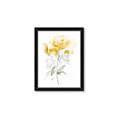 Picture of Yellow Floral II  _GroupedProduct_Rectangle_Portrait_Framed_Matted_