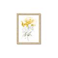 Picture of Yellow Floral II  _GroupedProduct_Rectangle_Portrait_Framed_Matted_