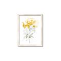 Picture of Yellow Floral II  _GroupedProduct_Rectangle_Portrait_Framed_Matted_