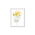 Picture of Yellow Floral II  _GroupedProduct_Rectangle_Portrait_Framed_Matted_