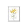 Picture of Yellow Floral II  _GroupedProduct_Rectangle_Portrait_Framed_Matted_