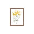 Picture of Yellow Floral II  _GroupedProduct_Rectangle_Portrait_Framed_Matted_