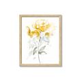 Picture of Yellow Floral II  _GroupedProduct_Rectangle_Portrait_Framed_Matted_