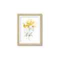 Picture of Yellow Floral II  _GroupedProduct_Rectangle_Portrait_Framed_Matted_