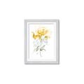 Picture of Yellow Floral II  _GroupedProduct_Rectangle_Portrait_Framed_Matted_