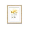 Picture of Yellow Floral II  _GroupedProduct_Rectangle_Portrait_Framed_Matted_