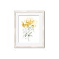 Picture of Yellow Floral II  _GroupedProduct_Rectangle_Portrait_Framed_Matted_