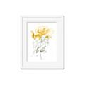 Picture of Yellow Floral II  _GroupedProduct_Rectangle_Portrait_Framed_Matted_