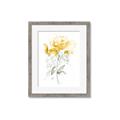 Picture of Yellow Floral II  _GroupedProduct_Rectangle_Portrait_Framed_Matted_
